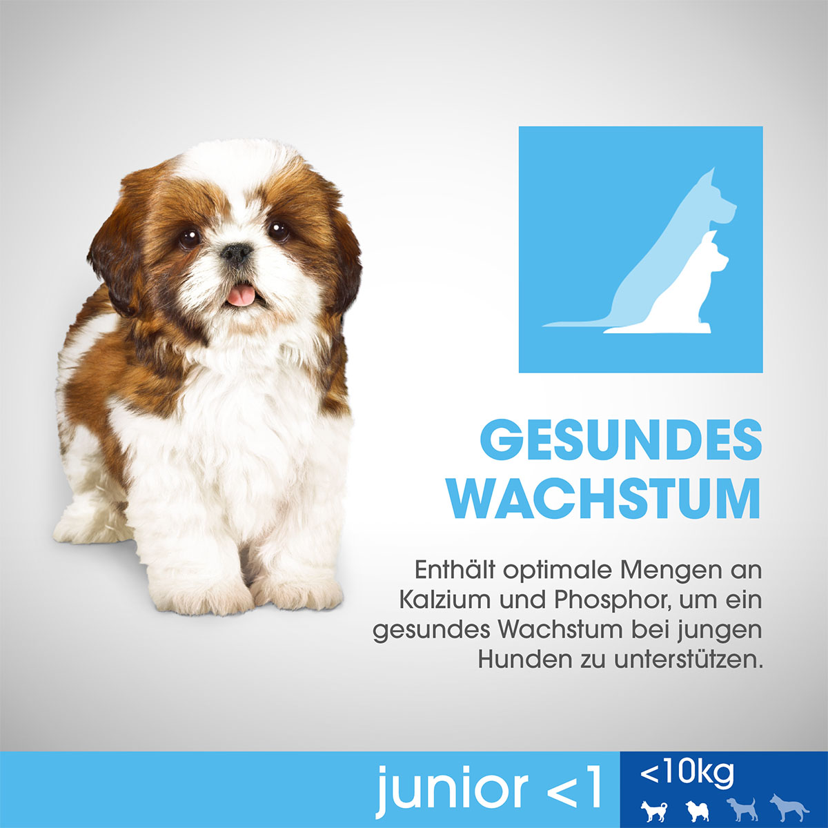 PERFECT FIT Hund Junior <1 XS/S Huhn 6kg kaufen bei ZooRoyal