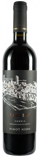 2021 Pinot Nero Umbria IGP trocken - Cantina Cardeto