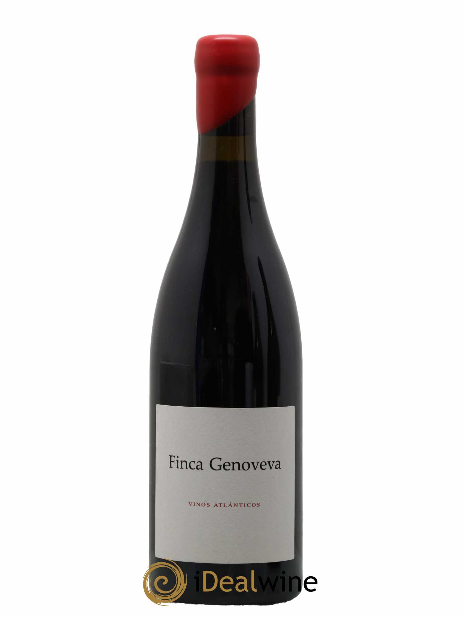 Espagne Rias Baixas Forjas Del Salnés Finca Genoveva Caino 2019 - Lot de 1 Bouteille