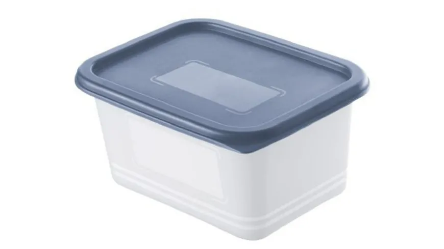 rotho Domino Gefrierdose horizon blue 4x0,75l horizon blue