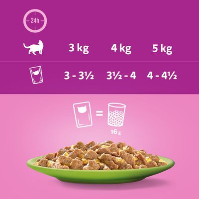 Megapack Whiskas 1+ Adult Frischebeutel 48 x 85 g
