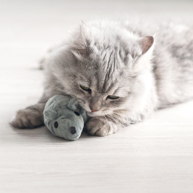 Aumüller Katzenspielzeug Baldi-Maus zu TOP-Preisen
