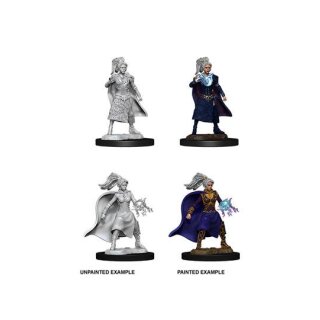 Female Human Sorcerer: D&D Nolzurs Marvelous Miniatures