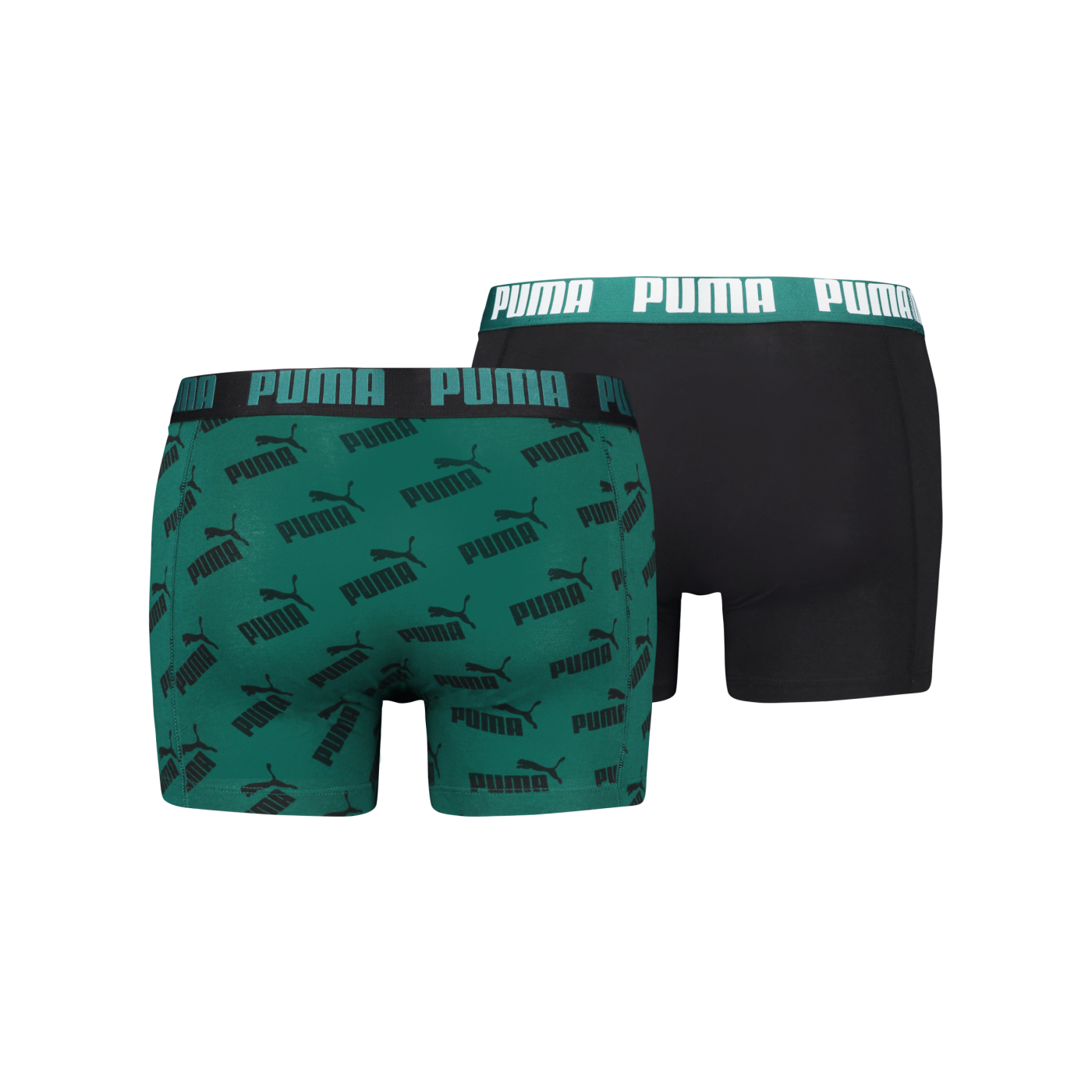 PUMA AOP Boxer 2er Pack Grün F010