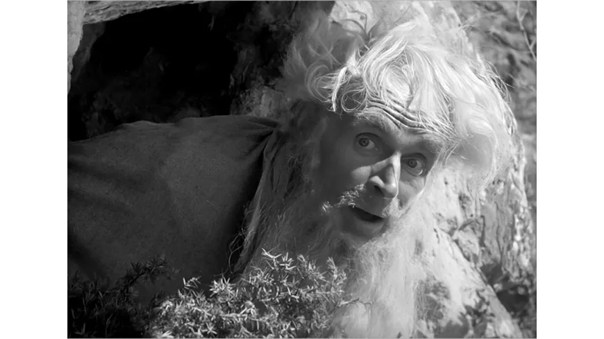 Die goldene Gans (1953) (Filmjuwelen / Schongerfilm-Märchen)
