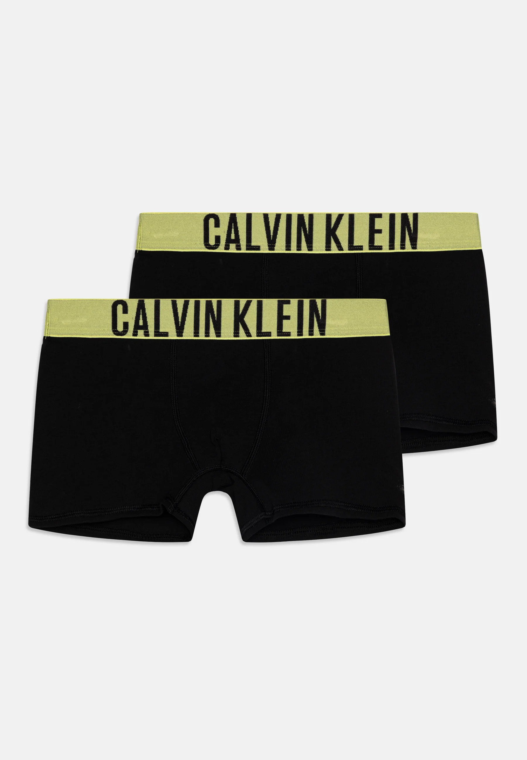 Calvin Klein Underwear TRUNK PACK DE 2 - Culotte