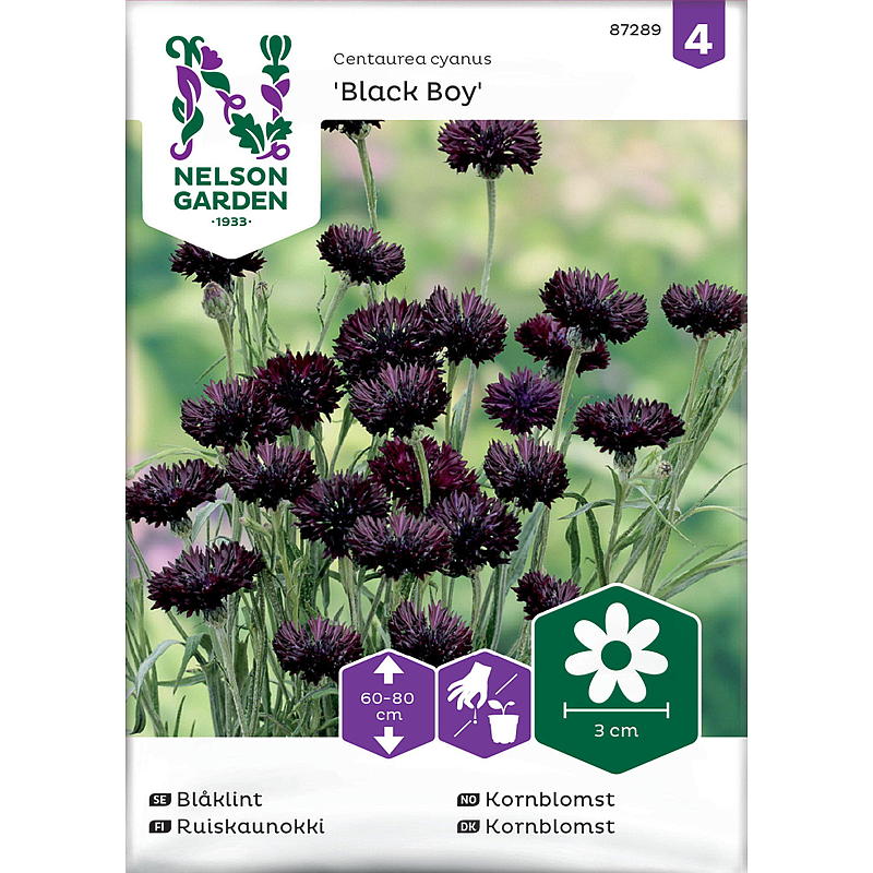Nelson garden Frø Kornblomst Black Boy, svart