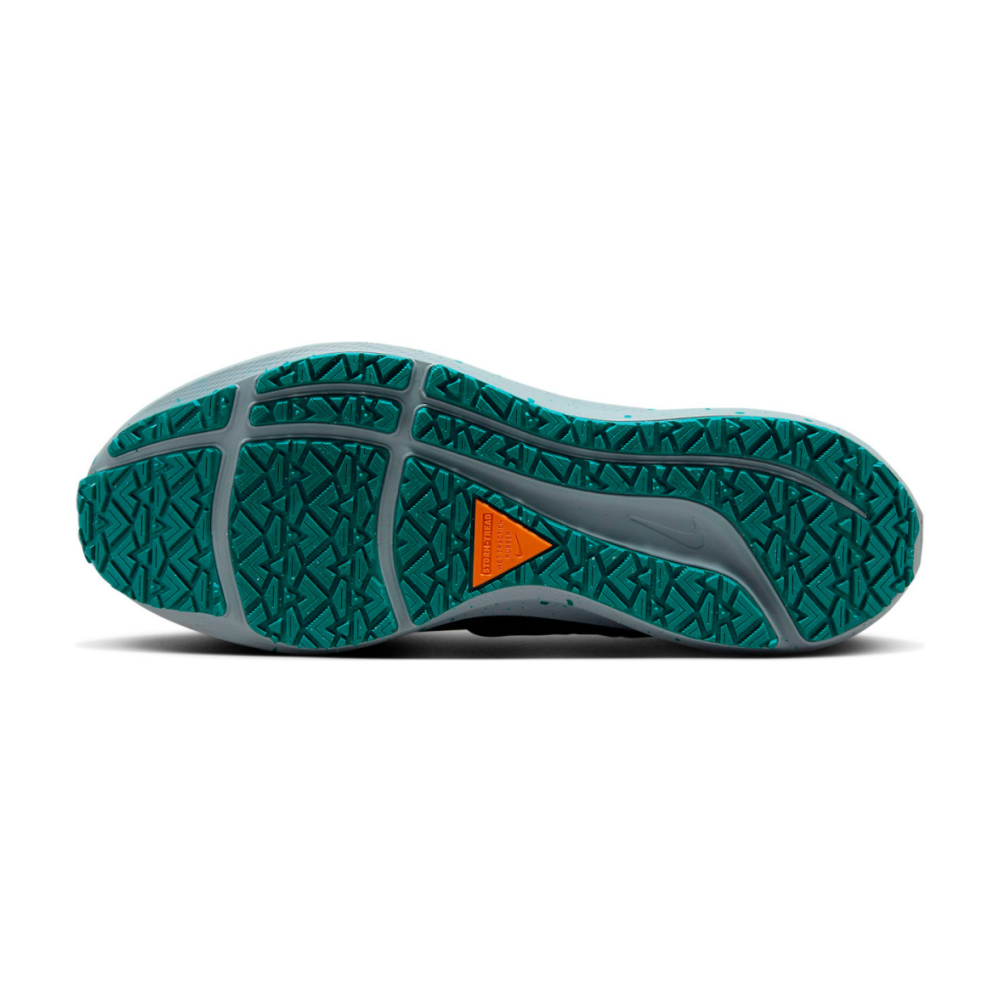 Nike Air Zoom Pegasus 39 Shield DO7625-300 / grün