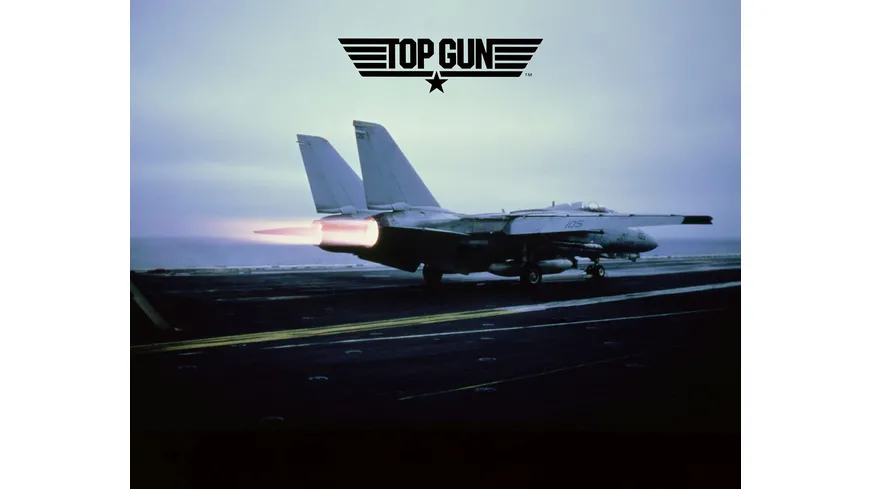 Revell 03865 - F-14 A Tomcat Top Gun, 1:48