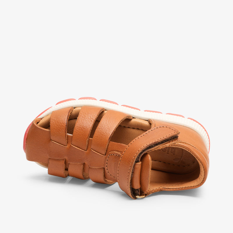 elva cognac - Braun