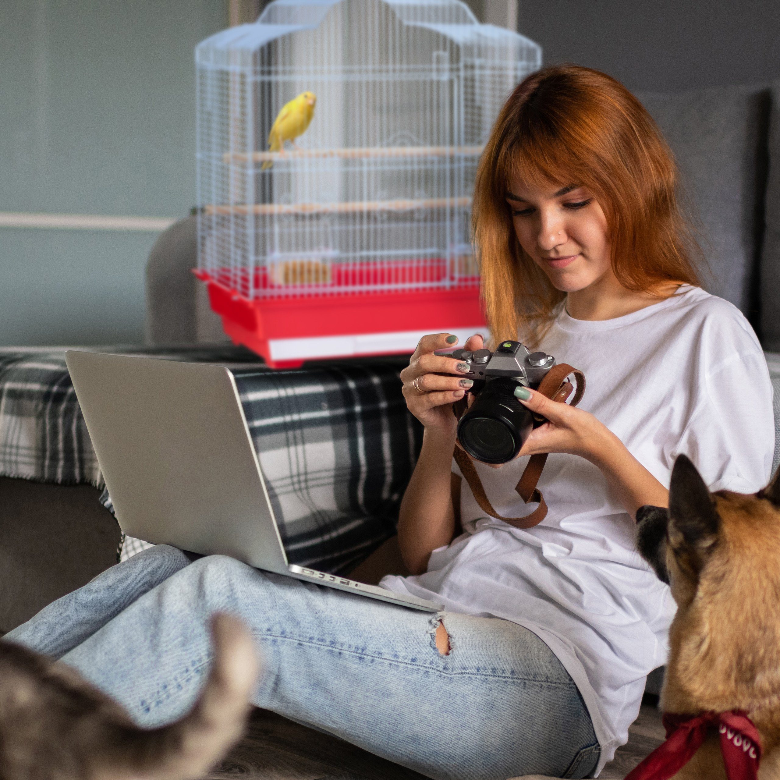 relaxdays Vogelkäfig Dekorativer Vogelkäfig