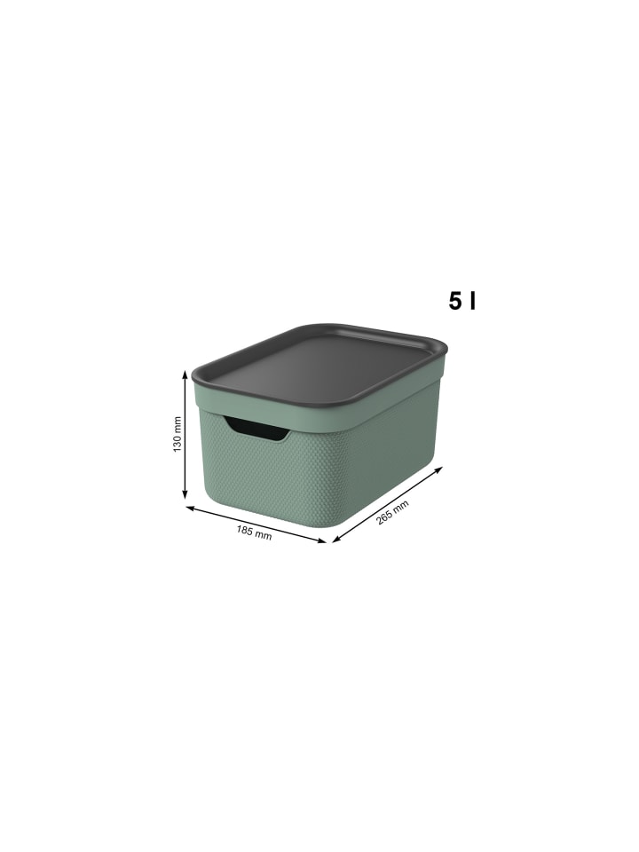 Rotho Jive Dekobox 3er-Set Aufbewahrungskorb 5l in Sea Spray green ged. günstig kaufen onesize