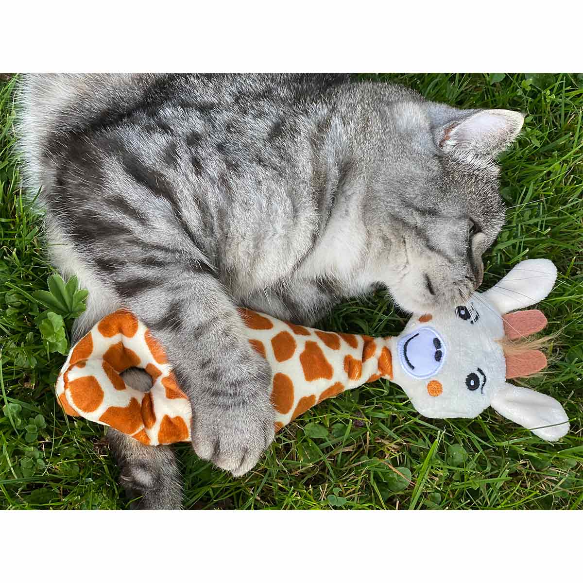 Aumüller Giraffe Gina Katzspkielkissen kaufen