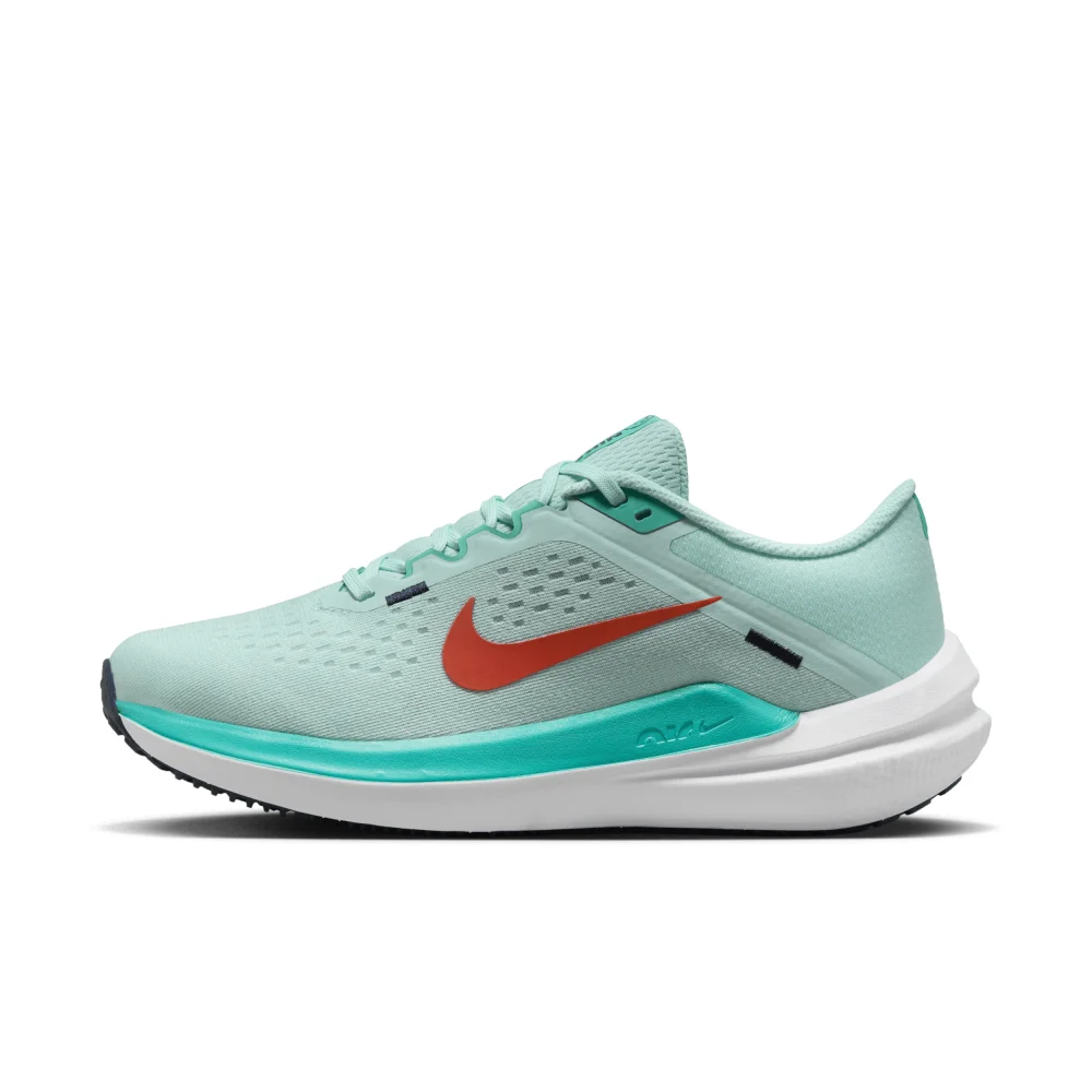 Nike Winflo 10 DV4023-300 / grün