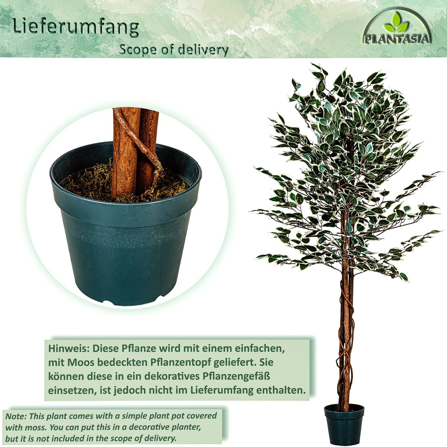 Kunstbaum Künstlicher Ficus Benjamini Ficusbaum Kunstpflanze Ficusbaum, PLANTASIA, Höhe 160,00 cm, 160 cm, 714 Blätter, Echtholzstamm, Größenwahl