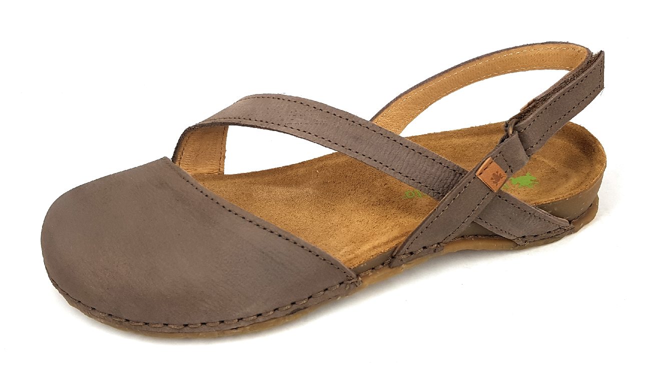 El Naturalista Pangloa N5813 Braun Plume
