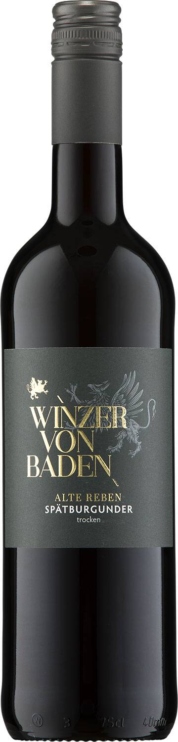 Winzer von Baden Alte Reben Spätburgunder 2020