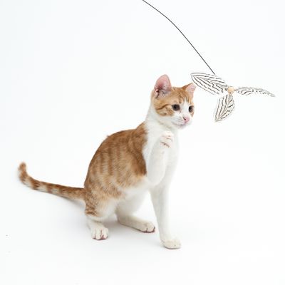 TIAKI Katzenangel Fliegende Federn