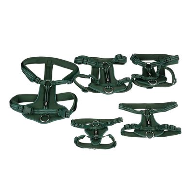 TIAKI Geschirr Neoprene, grün