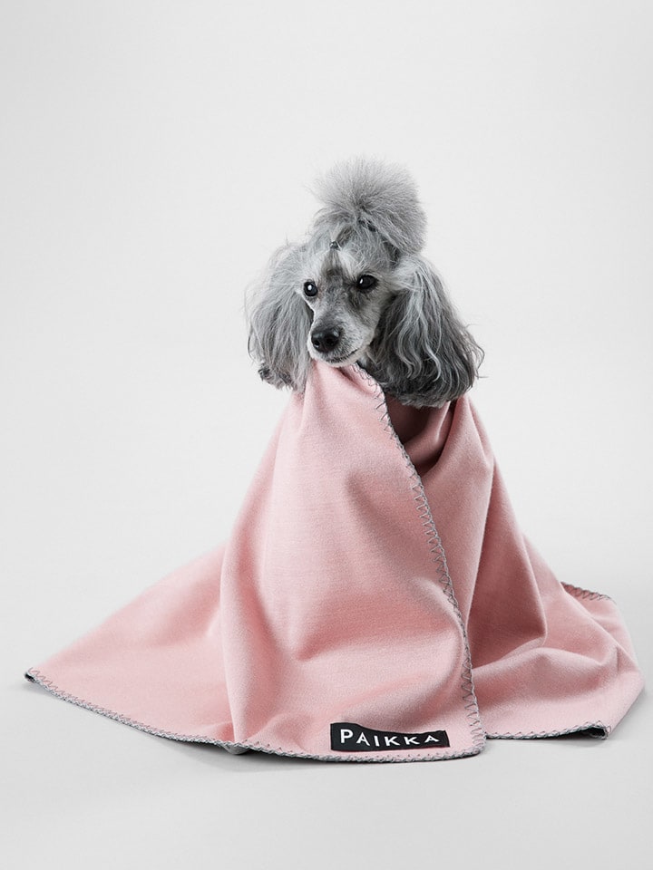 Paikka Recovery-Hundedecke in Rosa günstig kaufen 70x100 cm