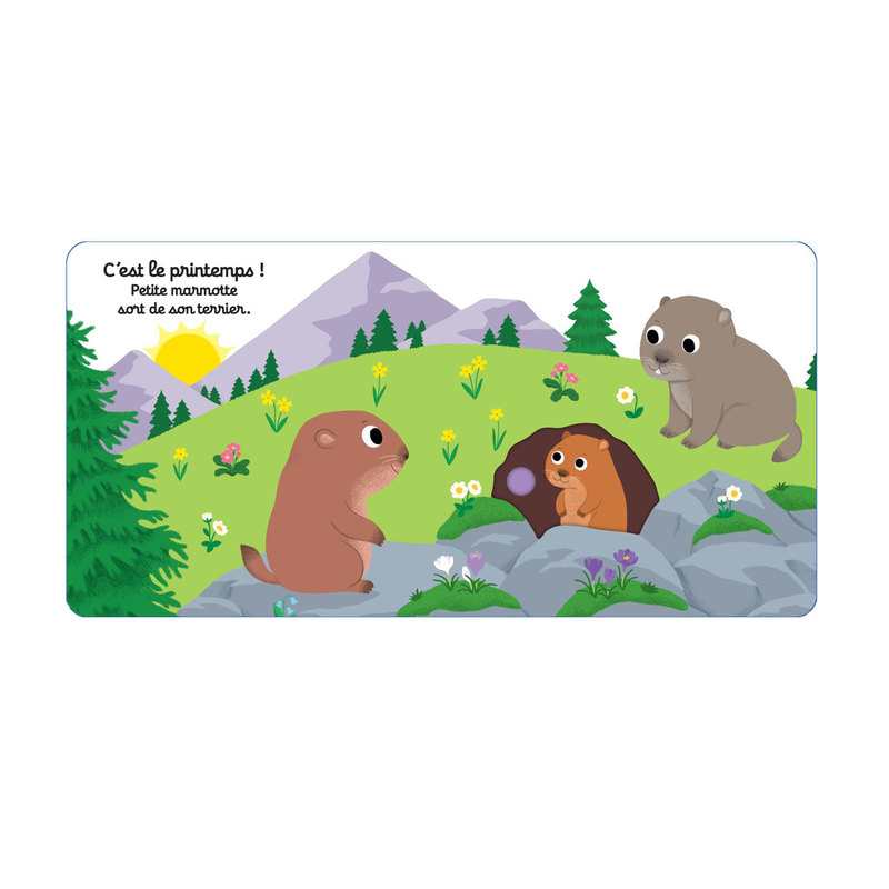 Livre Bonne nuit petite marmotte - Nathan Jeunesse