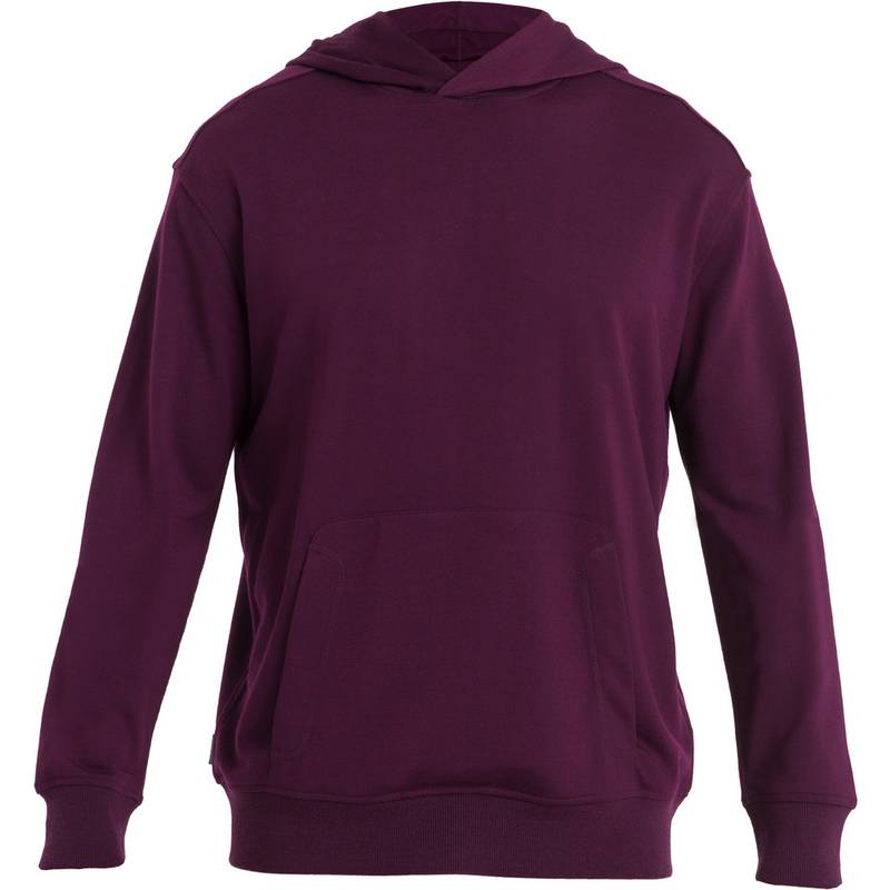 Icebreaker Shifter II Hoodie Herren