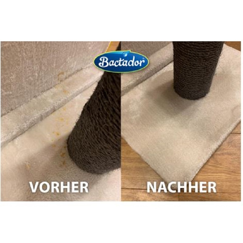 Bactador Reinigungsmittel & -geräte Bactador Geruchs- und Fleckenentferner Spray 100 ml
