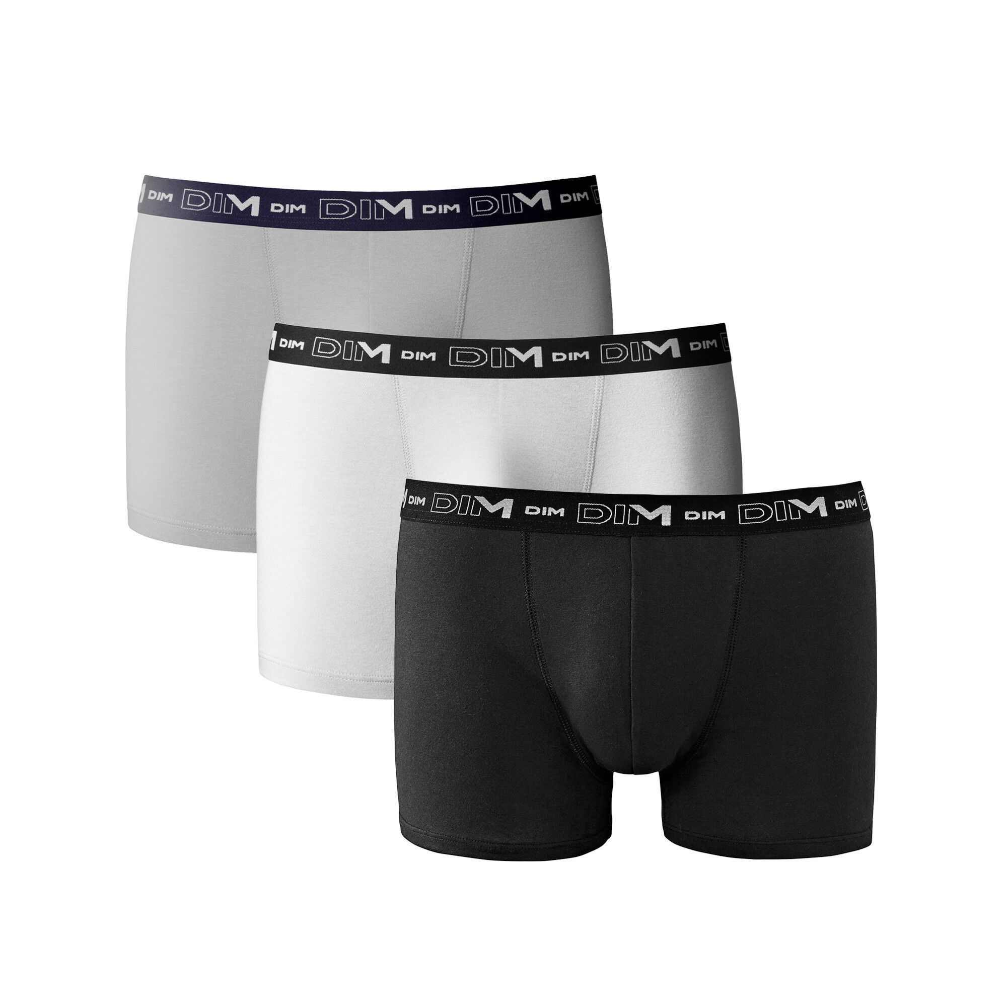 Boxer