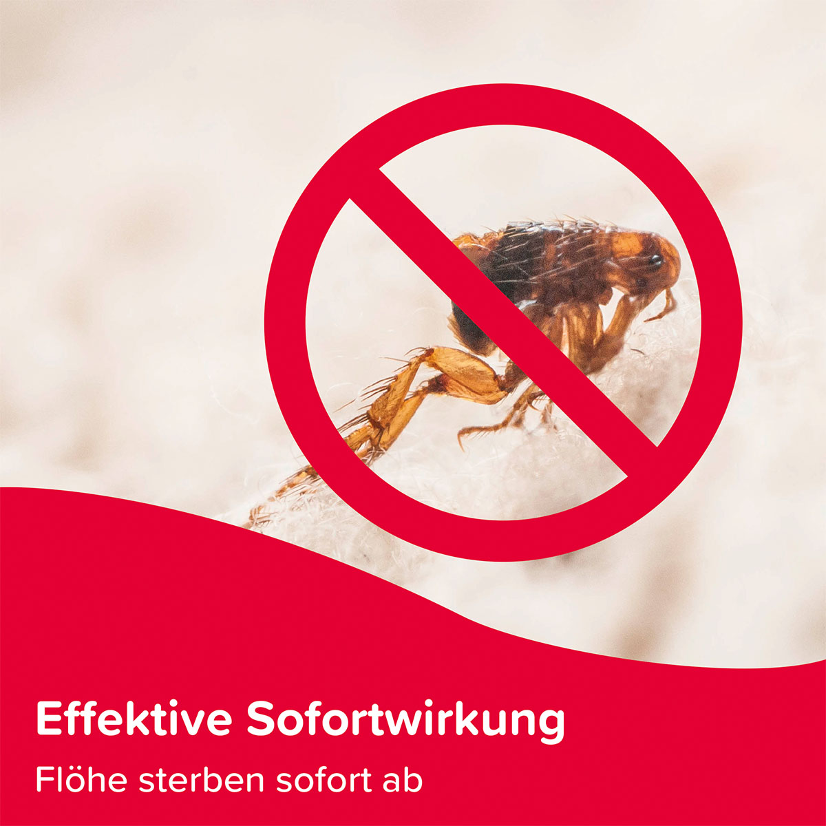beaphar Protecto Insekten Vernebler 200ml kaufen