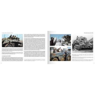 Panzerwaffe Tarnfarben: Camouflage Coulours and Organization of the german armoured Forde (1917-1945) (EN)