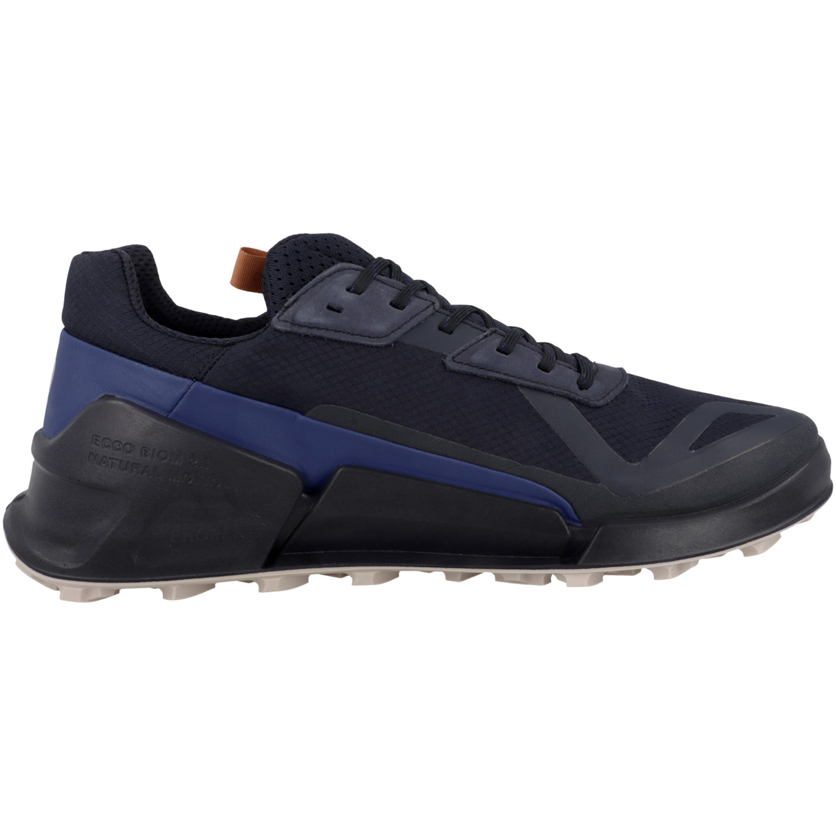 Ecco Biom 2.1 X Country M Low GTX Outdoorschuhe blau