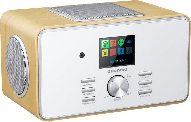 Grundig DTR 6000 X Digitalradio (DAB) (Digitalradio (DAB), FM-Tuner mit RDS, Internetradio, 28 W)