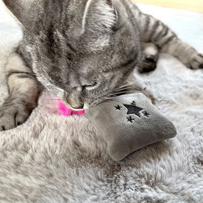 Aumüller Sternenkissen