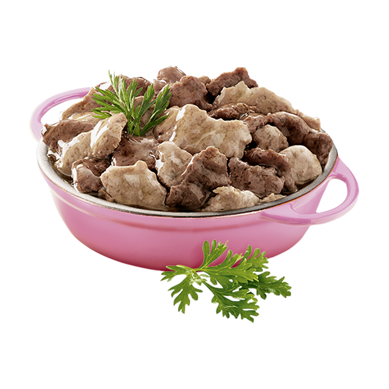 Cesar Hundenassfutter Cesar Landragout 14x150g Kalb & Truthahn