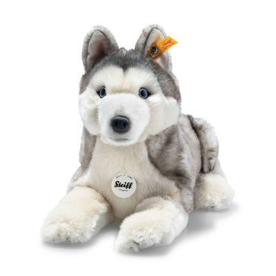 Bernie Husky, 33 cm, weiß