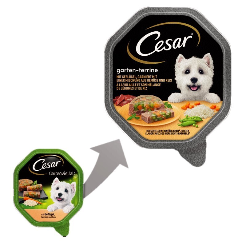 Cesar Hundenassfutter Cesar Garten-Terrine 14x150g Geflügel, Gemüse & Reis