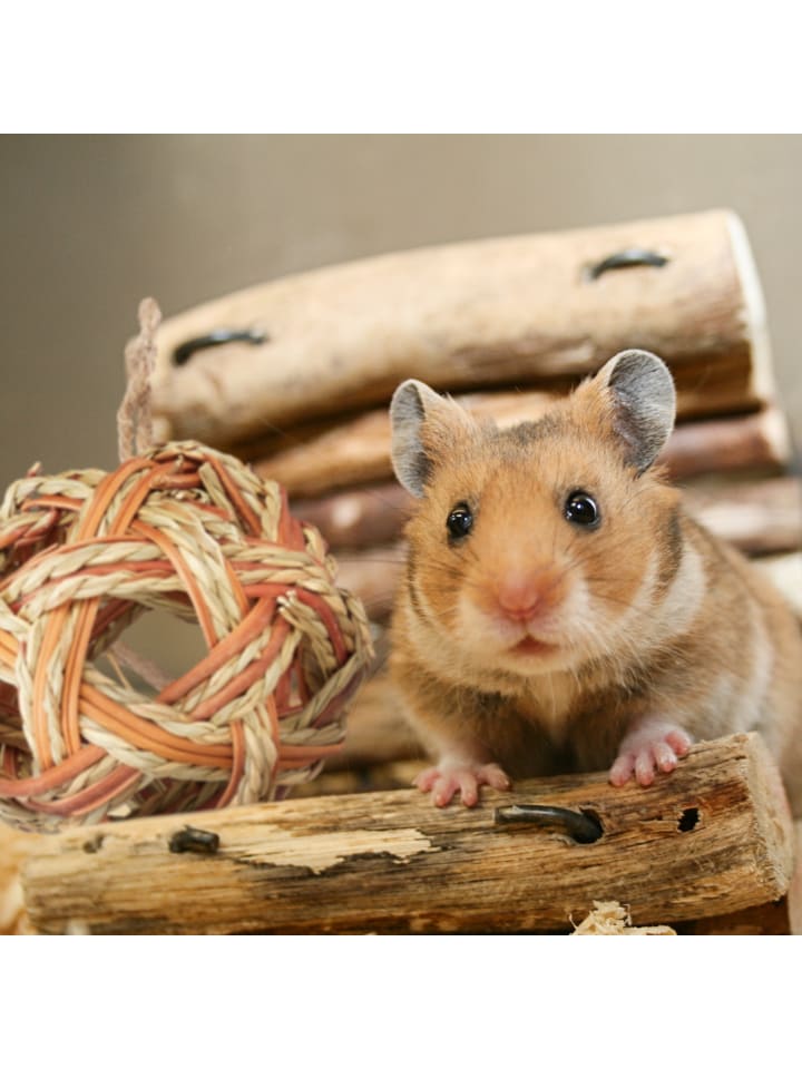relaxdays 5-tlg. Hamsterzubehör Set in Natur günstig kaufen onesize