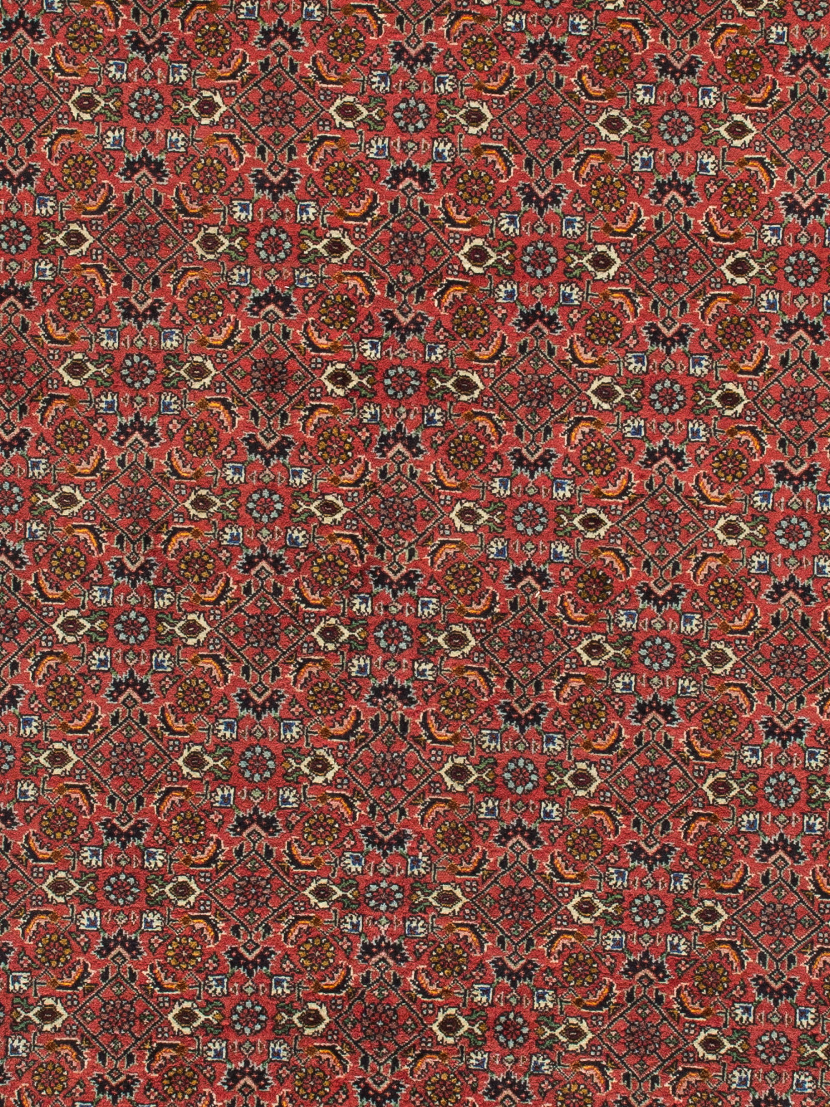 Bidjar Tekab ca. 250 x 348 cm, Unikat / Einzelstück