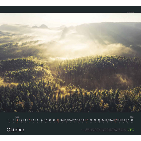 GEO KALENDER: SEHNSUCHT WALD 2024 - WAND-KALENDER - Kalender