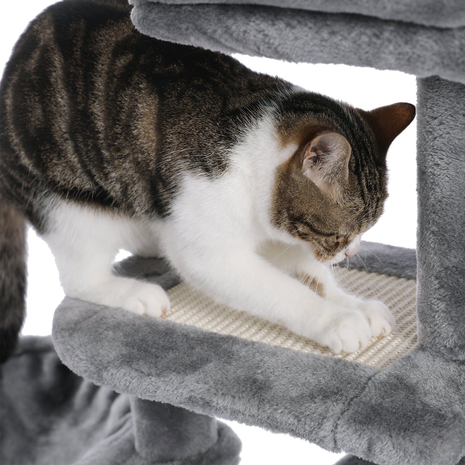 PAWZ Road Kratzbaum Kratzbaum,Plüsch-Katzenturm,Sisal-Kratzbaum für Kätzchen, für kleine Katzen, Hängematte