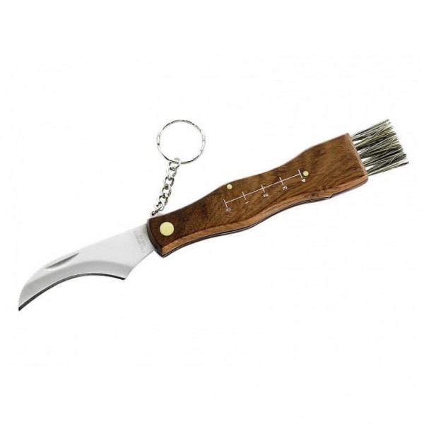 Herbertz - Pilz-Messer mit Bürste - Messer