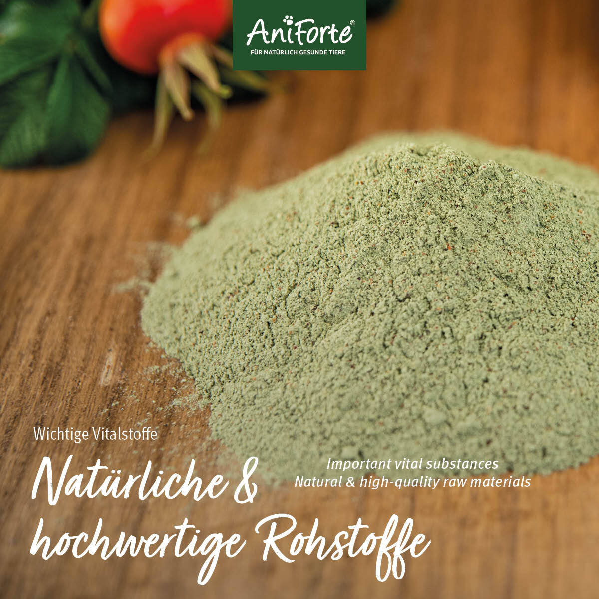 Aniforte Ergänzungsfutter & Aufzucht Aniforte Junior Active 250 g