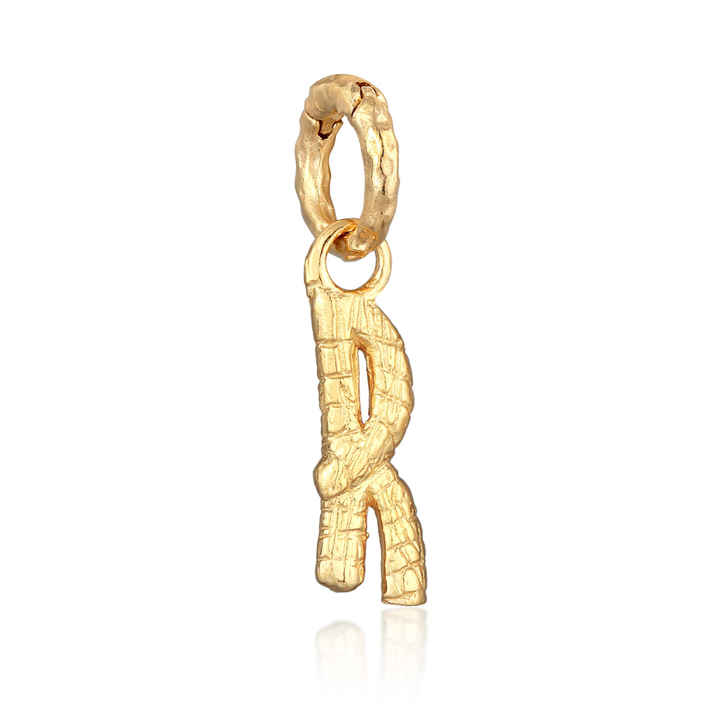Elli Elli Pendentif Femmes Lettre R Look Organique en argent sterling 925 plaqué or Pendentif