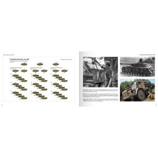 Panzerwaffe Tarnfarben: Camouflage Coulours and Organization of the german armoured Forde (1917-1945) (EN)