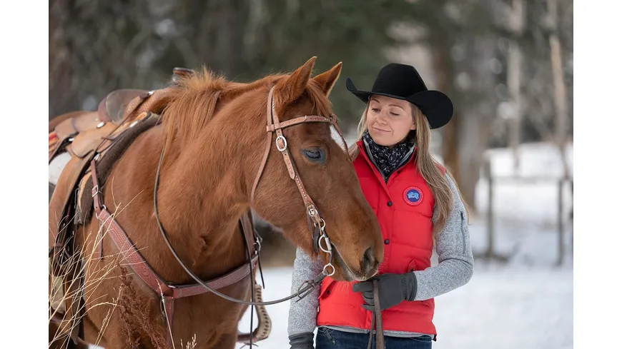 Heartland - Paradies für Pferde - Staffel 14  [4 DVDs]