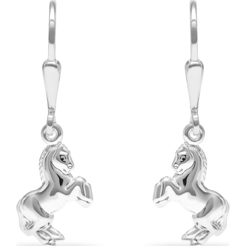 FAVS Boucles d'oreilles 925 Argent Boucles d'oreilles