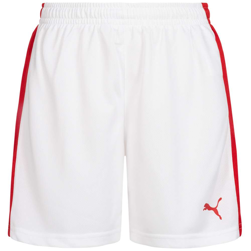 DHF Dänemark PUMA Damen Handball Shorts 750674-12
