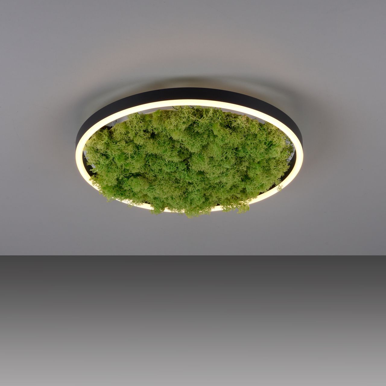JUST LIGHT LED Deckenleuchte GREEN RITUS, 3-Stufen-Dimmer, echtes Moos, Ø39,3cm