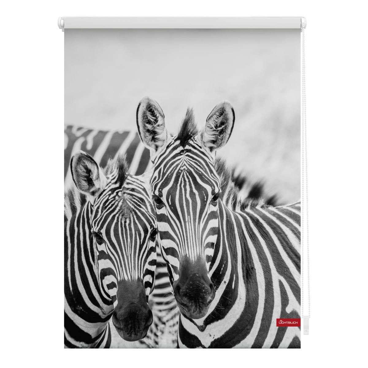 Lichtblick Rollo Klemmfix, ohne Bohren, blickdicht, Zebra - Weiß Türkis, 60 cm x 150 cm (B x L)