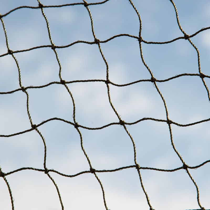Katzenschutznetz mit Drahtverstärkung zu TOP-Preisen | bitiba %